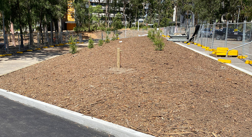 Newcastle RFM Projects